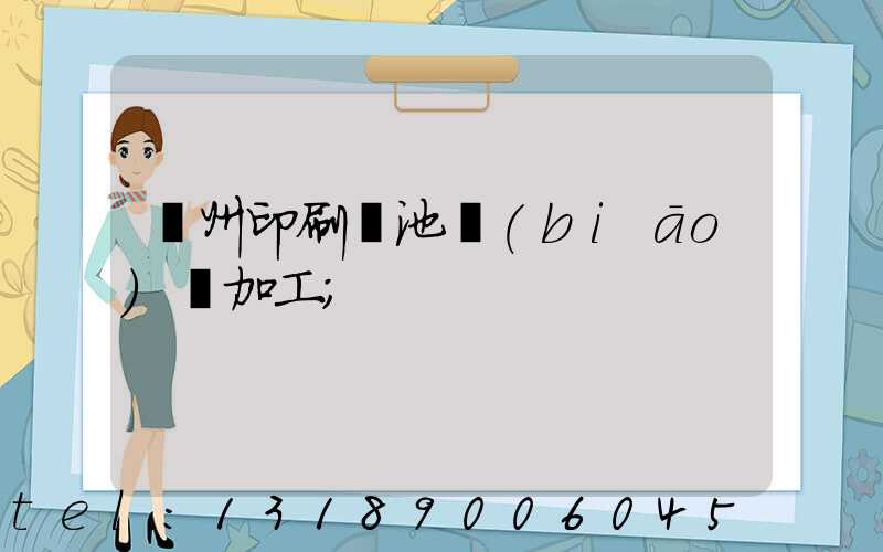 廣州印刷電池標(biāo)簽加工